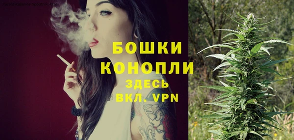 мдпв Данков
