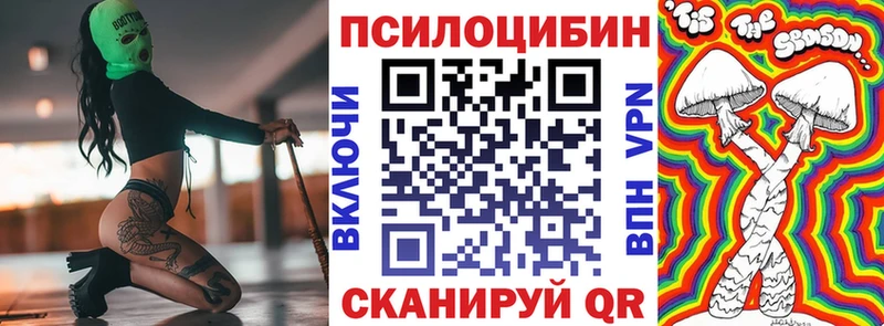 Галлюциногенные грибы Psilocybe  купить   Торопец 