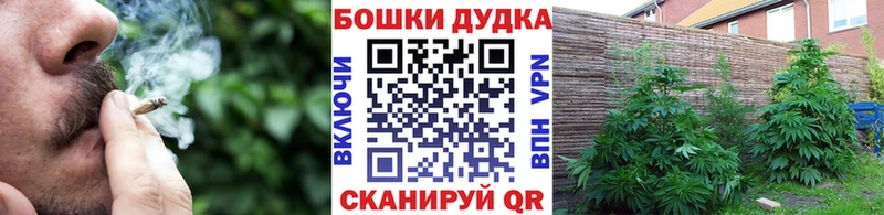 OMG вход  даркнет сайт  Торопец  Каннабис ГИДРОПОН 